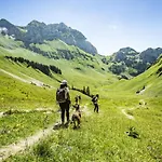 Apartment Amarillys Am14 Mountain & 6 Pers *