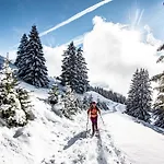 Amarillys Am14 Mountain & 6 Pers Apartment Châtel